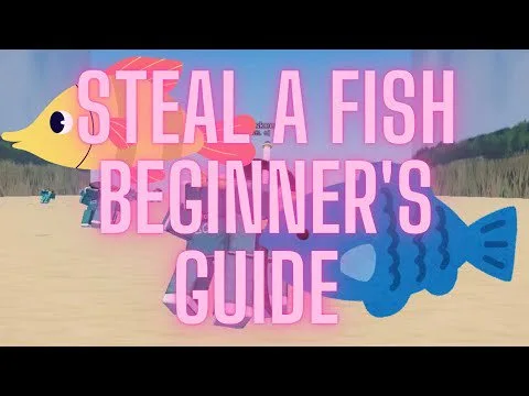 Video Guides